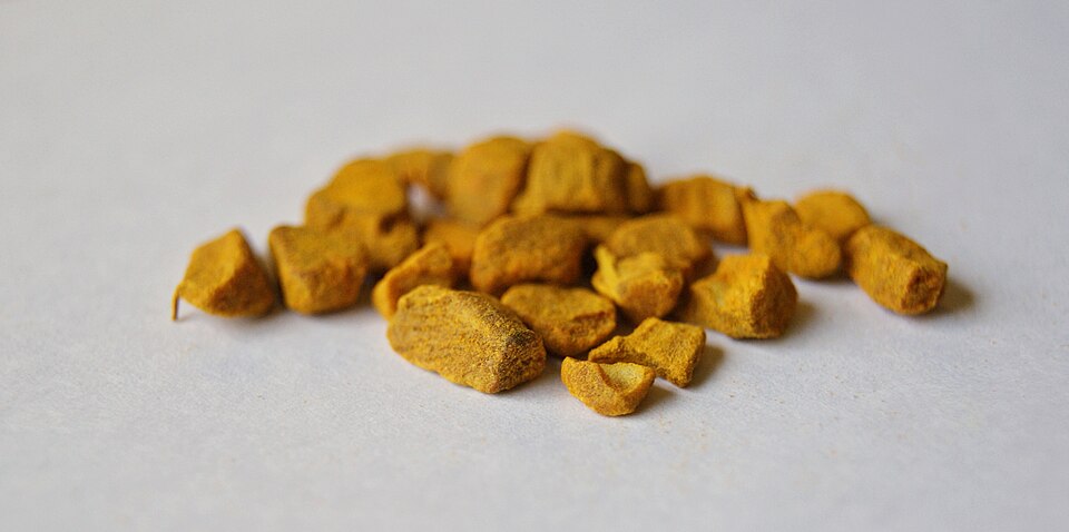 Curcuma xanthorrhiza